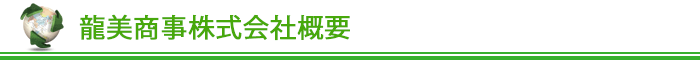 龍美商事について